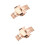 2Stk -Gürtelverschluss Roségold Für Gürtel 6