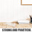 8Stk Display Rack Für Store Aus Resin 5