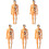5Ud Kit De Anatomía Infantil Plástico Multicolor Para Y 2