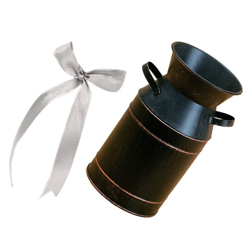 2Sets Eisenblumentöpfe, Handliche Gartenvase Mit 1