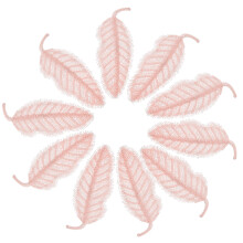 30Stk Bestickte Spitze Blatt Applikation Rosa