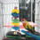 2Ud Colgantes De Madera Para Loros Reusables Multicolor 9