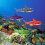 12Ud Juguetes Para Nadar Dive Duoy Tiburón Multicolor 6
