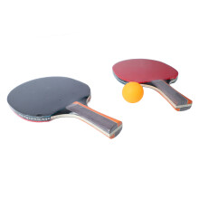 Long Sweat-Absorbing Handle Table Tennis Paddle Set with 3 Balls for Beginners