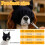 Masque apaisant pour animaux de compagnie, capuche-S 4