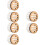 6Pièces Cage Apiculture Isolation Capture Khaki 7