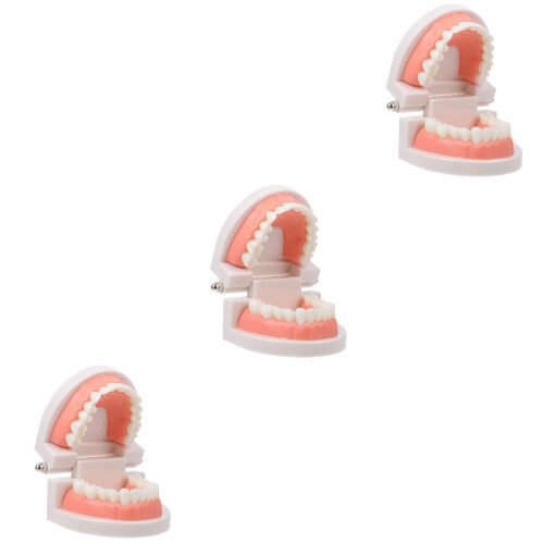 3Pcs Pink Kids Teeth Model Educational Plaything Teeth Cleaning Tool 2