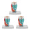 3Pz Modello Faringe E Laringe Realistico Per Training 6