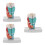 3Pz Modello Faringe E Laringe Realistico Per Training 7