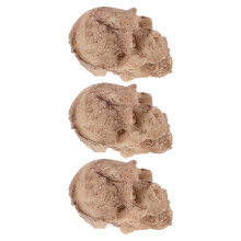9Pz Teschi Decorativi in Resina Beige Per Terrari Rettili