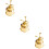 3Pz Annaffiatoio Brass Oro Per Orchidee E Piante Da Interno 8