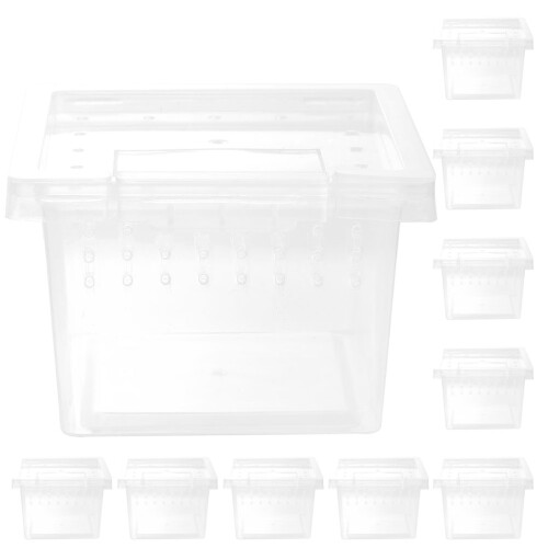 20Pz Box Trasparente Per Retina Lucertole Erettili 1