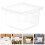 20Pz Box Trasparente Per Retina Lucertole Erettili 10