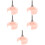 5Pz Adattatore Per Casa Rosa Design Compatto 6