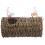 3Set Per Pappagallo Resistente Per Casa 2