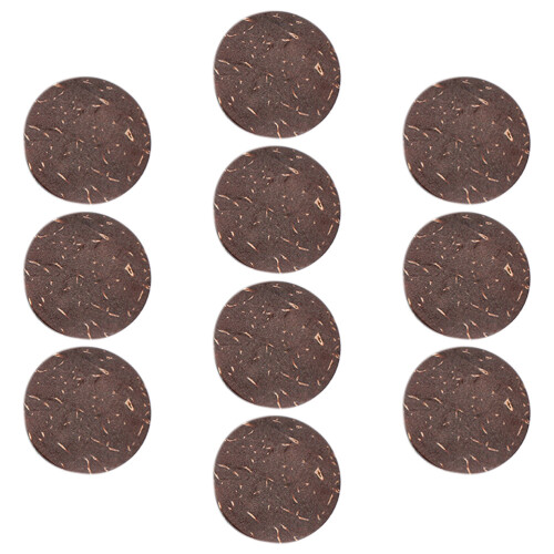 50Pz Gusci Cocco Per E Decorazione Paesaggistica 2