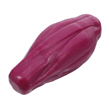 Robustes Tpe Muskelmodell Pink Für Muskelanatomie Praxis