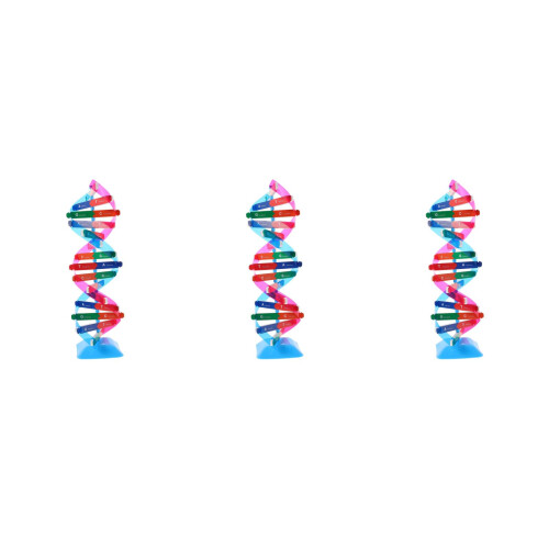 3Stk Dna Modell Für Zuhause - Und Lehrhilfe 1