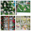 Decoratieve Raamstickers PVC Anti- Voor 6