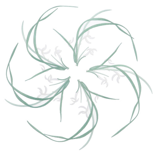 10Pz Patch Fiore Orchidea Bianco Per Cucito E Riparazioni