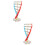 2Stk Dna Doppelhelix Lernmodell Lehrmittel 9