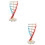 2Stk Dna Doppelhelix Lernmodell Lehrmittel 8