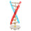 2Stk Dna Doppelhelix Lernmodell Lehrmittel 3