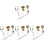 4St Universele Trombone Drain Clique Montage Met 4