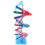 3Ud Molecular Doble Hélice Plástico Multicolor Para Clases 3