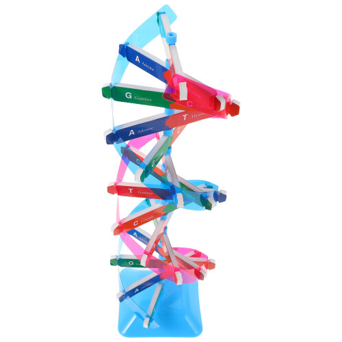 3Ud Molecular Doble Hélice Plástico Multicolor Para Clases 2