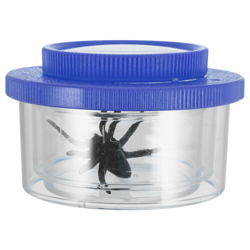 5Ud Observar Insectos ABS Exterior Multicolor Kit Infantil 2