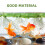 108Stk PVC Simulierte Entengrütze Aquarium 8
