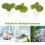 108Stk PVC Simulierte Entengrütze Aquarium 9