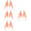 4Paren Zachte Parel Elf Oren Met Modieuze Dames Halloween 9