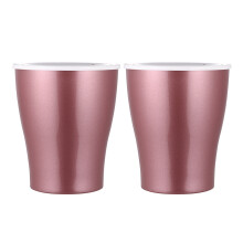 4St Rosegoud Zelfwaterend Plastic, Perfect Voor Vetplanten