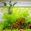 2St Heldere Plant Houder Aquarium Water Beker 3