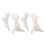 4St Schaap Oren Haarband Dames Cosplay Halloween Feest 1