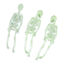 6Stk Halloween Leuchtskelett Kunststoff Skelett Grün Wandelbar