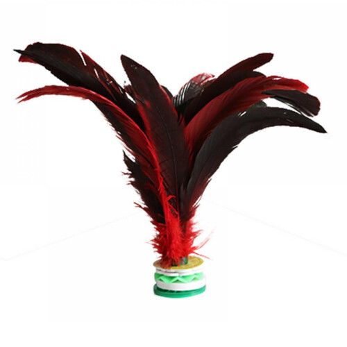 Kick Shuttlecock με πολύχρωμα φτερά, κινέζικο αθλητικό παιχνίδι Jianzi με φτερά ποδιών για