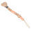 Easy Clean Beech Wood & Silicone Teething Pacifier Clip 12