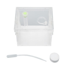 Recinto per ragni saltatori, scatola di allevamento per rettili in acrilico con tubo di riempimento dell'acqua, casa per terrario per ragni con fori