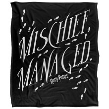 Harry Potter Mischief Managed Text Blanket