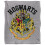 Harry Potter Harry Potter Hogwarts Crest Blanket 1
