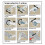 Συμπαγής εύχρηστη ξύστρα άνθρακα για ξύστρα Ar15Scraper, εργαλείο καθαρισμού λείων 4