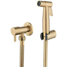 Handbrause-Bidet, Hygieneartikel aus Edelstahl, einziehbarer elastischer Schlauch, universelle Vierpunkt-Schnittstelle, geeignet