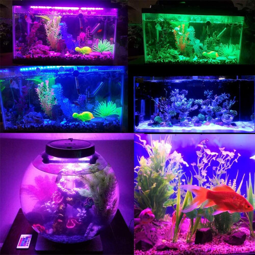 Aquatic Symphony: Υποβρύχια φώτα LED, 24/7 κύκλου, ακρυλικό γυαλί, ασφαλής χαμηλής τάσης, για 2
