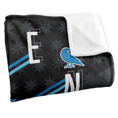 Harry Potter Harry Potter Ravenclaw Raven Blanket 1