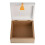 Celebrations Petit Cheri Dinosaur Keepsake Box - Roar 3