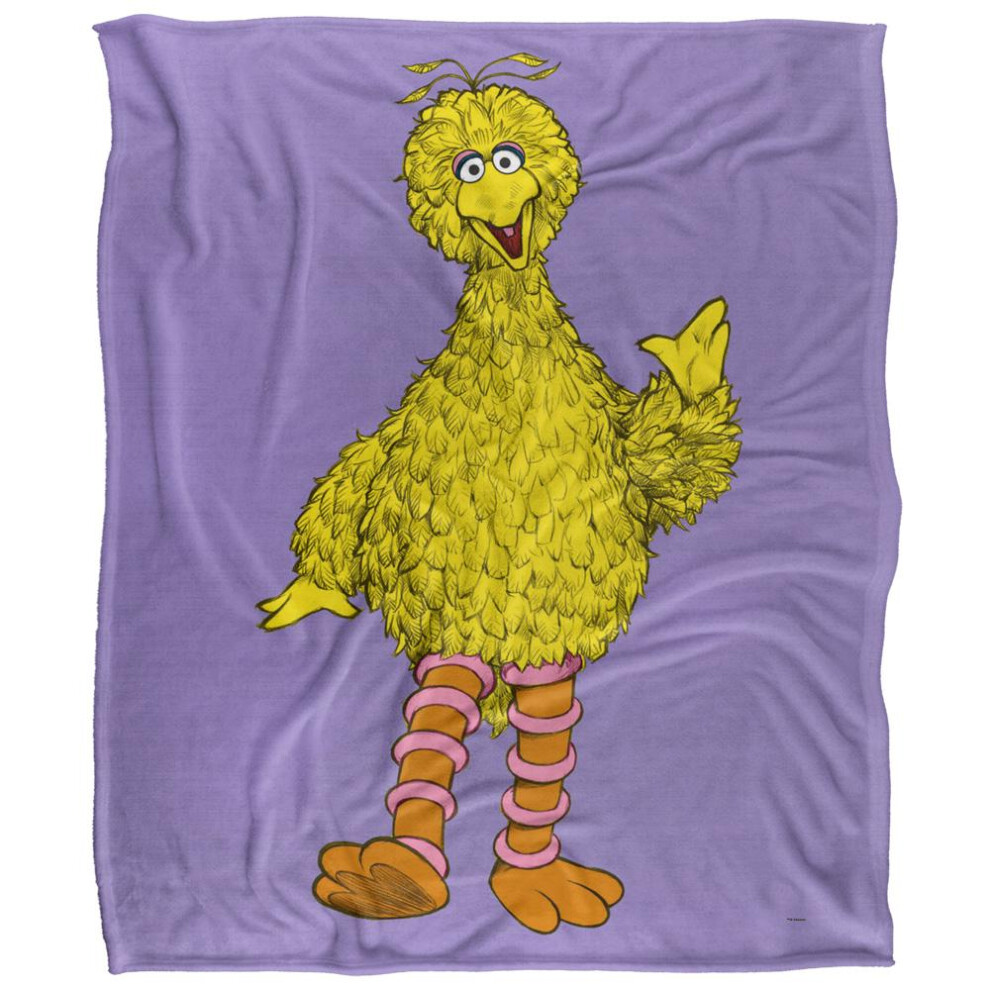 Sesame Street Painted Big Bird Blanket