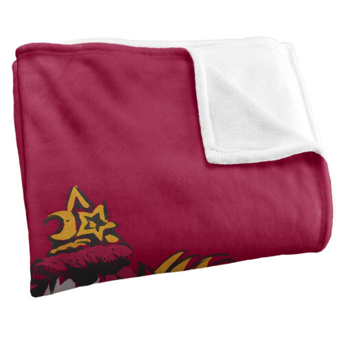 Harry Potter Harry Potter Gryffindor Painted Blanket 1